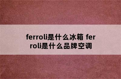 ferroli是什么冰箱 ferroli是什么品牌空调